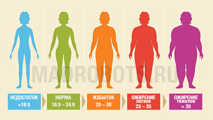 Степени ожирения (Индекс массы тела)