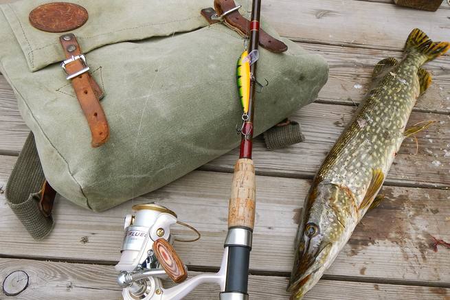 Топ 10 спиннингов универсальных для рыбалки с ограниченным бюджетом