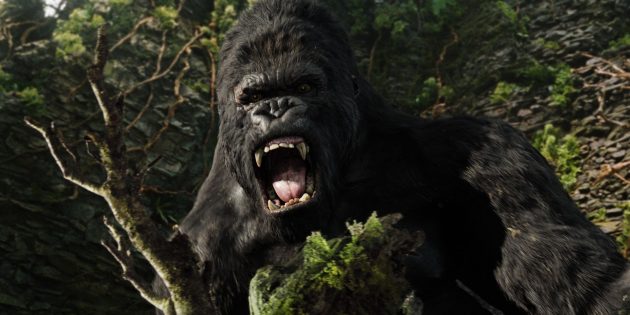 Кадр из фильма про джунгли «Кинг Конг»