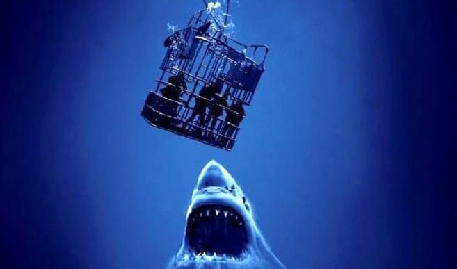 фильмы про акул список лучших