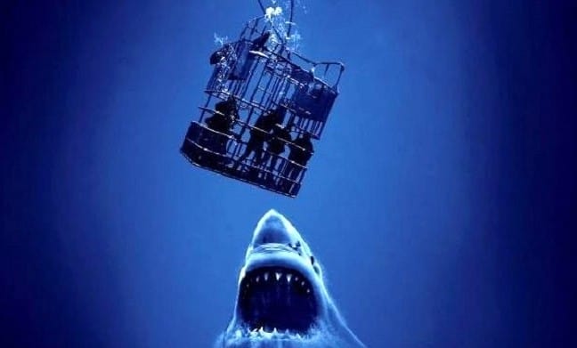фильм ужасов про акул 2023